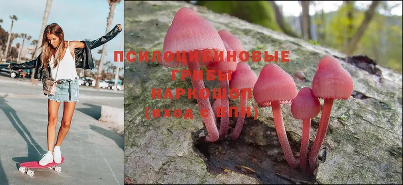 купить наркоту  Алейск  Псилоцибиновые грибы MAGIC MUSHROOMS 